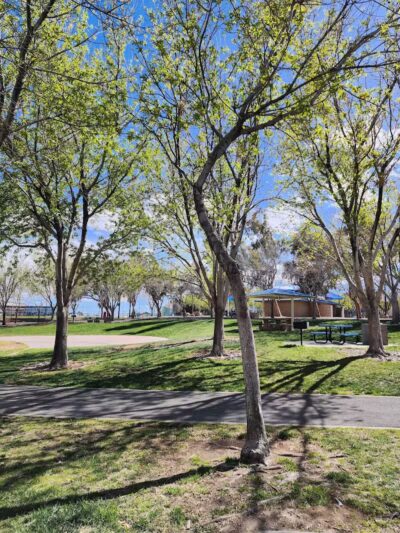 Bruce Trent Park - Las Vegas, NV