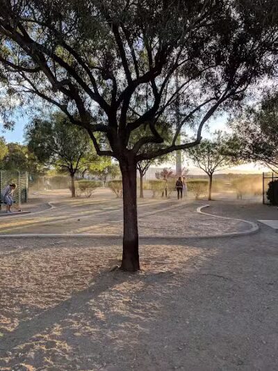 Cactus Jones Dog Park - Las Vegas, NV