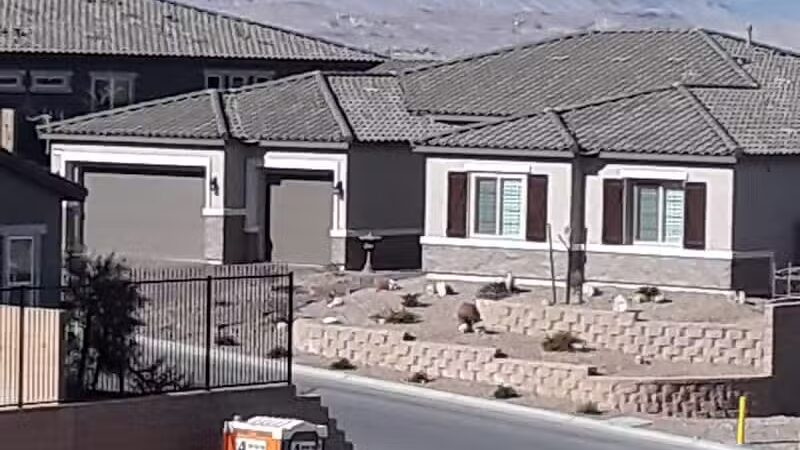 Cactus Jones Dog Park - Las Vegas, NV