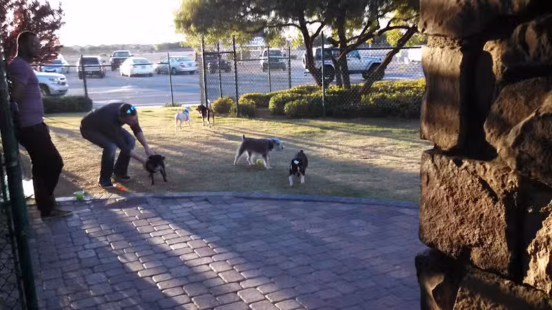 Cactus Jones Dog Park - Las Vegas, NV