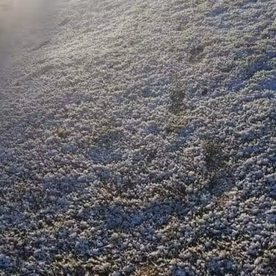 Centennial Park - Las Vegas, NV