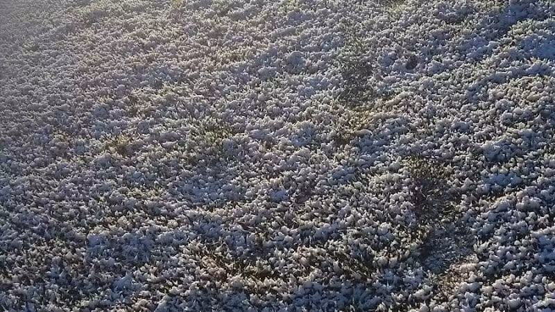 Centennial Park - Las Vegas, NV