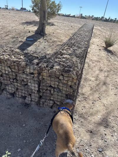 Charlie Frias Dog Area - Las Vegas, NV