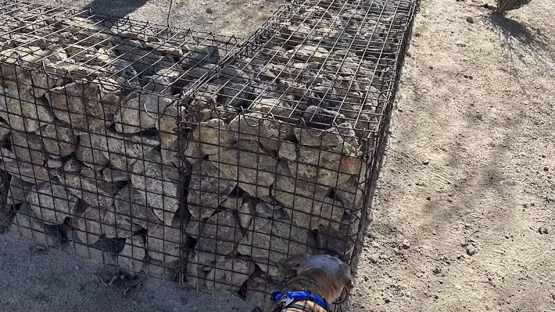 Charlie Frias Dog Area - Las Vegas, NV