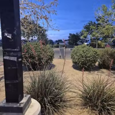 Charlie Frias Dog Area - Las Vegas, NV