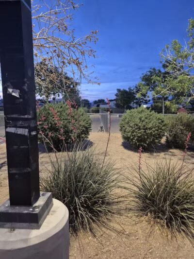 Charlie Frias Dog Area - Las Vegas, NV