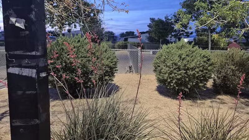 Charlie Frias Dog Area - Las Vegas, NV