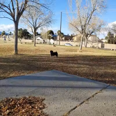 Children's Memorial Park - Las Vegas, NV