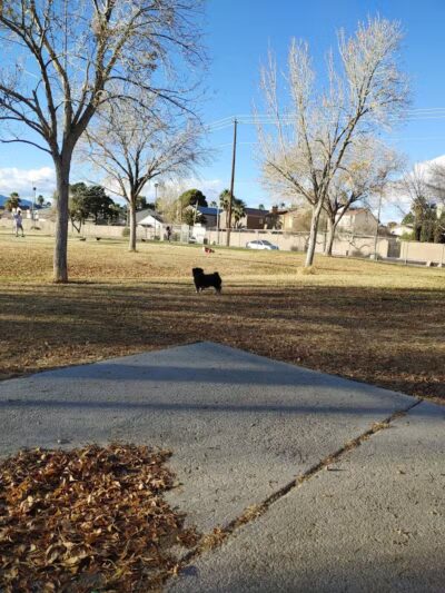 Children's Memorial Park - Las Vegas, NV