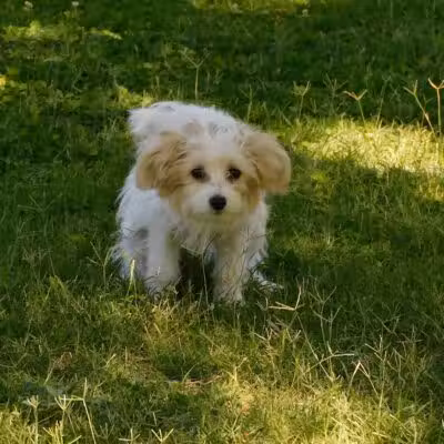 Children's Memorial Park - Las Vegas, NV