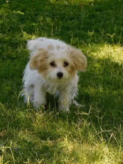 Children's Memorial Park - Las Vegas, NV