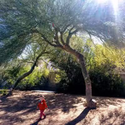 Children's Memorial Park - Las Vegas, NV