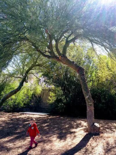 Children's Memorial Park - Las Vegas, NV