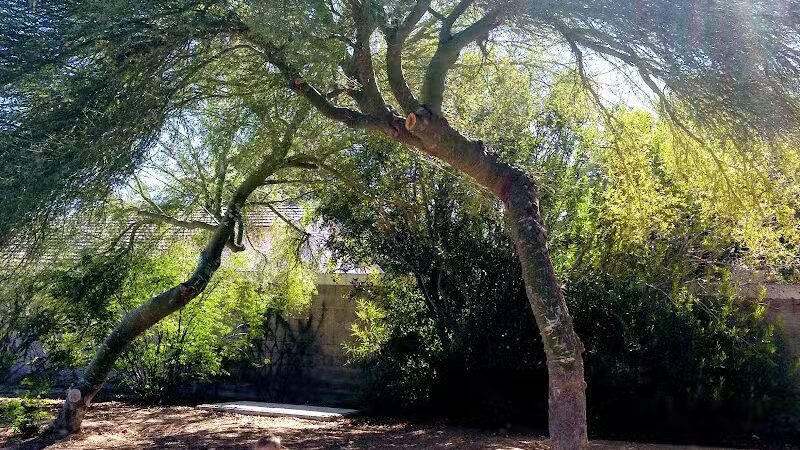 Children's Memorial Park - Las Vegas, NV