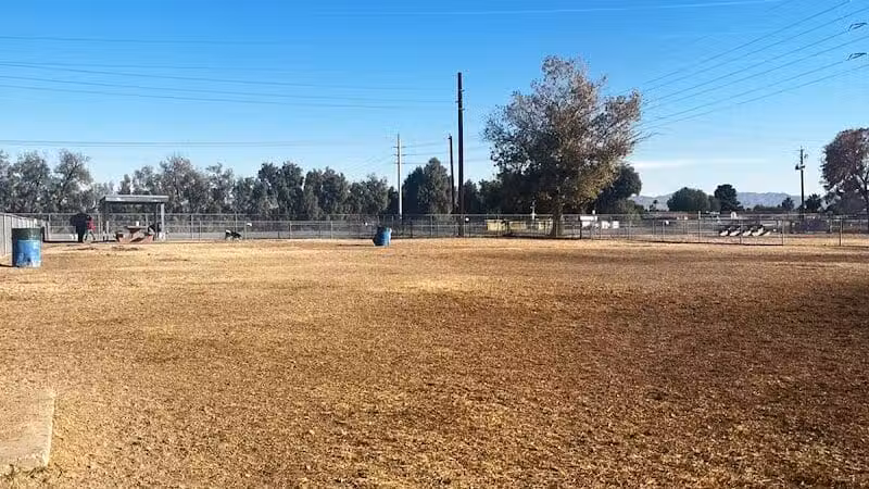 Clark County Dog Fancier's Park - Las Vegas, NV