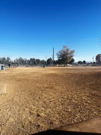 Clark County Dog Fancier's Park - Las Vegas, NV