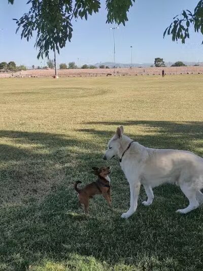 Clark County Dog Fancier's Park - Las Vegas, NV