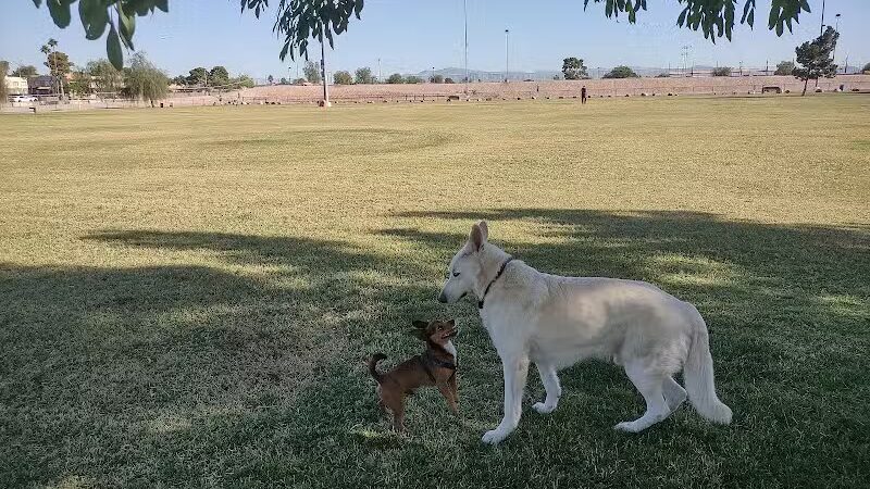Clark County Dog Fancier's Park - Las Vegas, NV