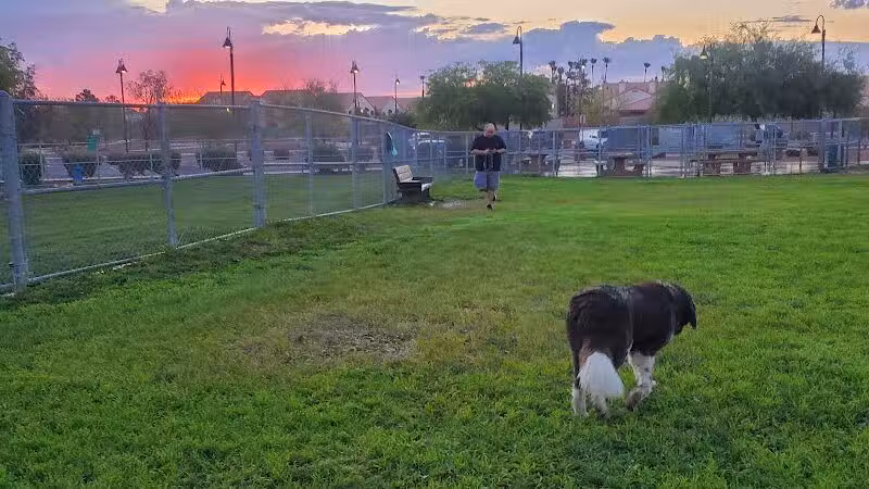 Clark County Dog Park at Spring Valley Community Park - Las Vegas, NV