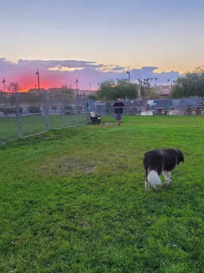 Clark County Dog Park at Spring Valley Community Park - Las Vegas, NV