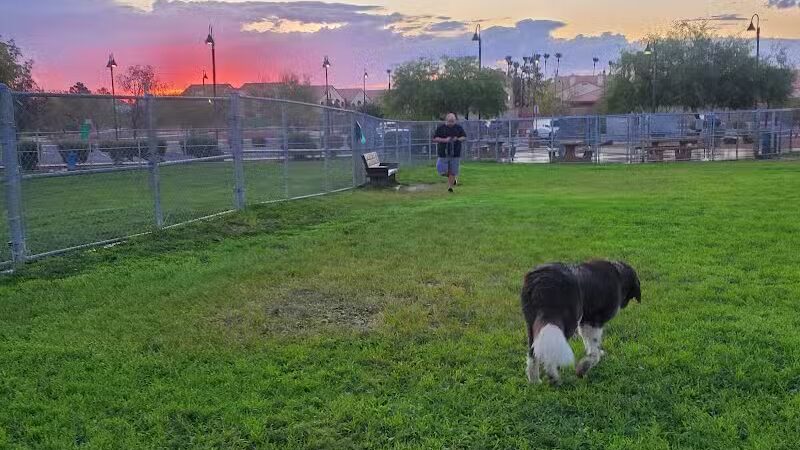 Clark County Dog Park at Spring Valley Community Park - Las Vegas, NV