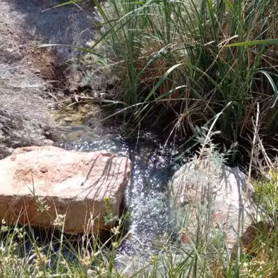 Clark County Wetlands Park - Neighborhood Park - Las Vegas, NV