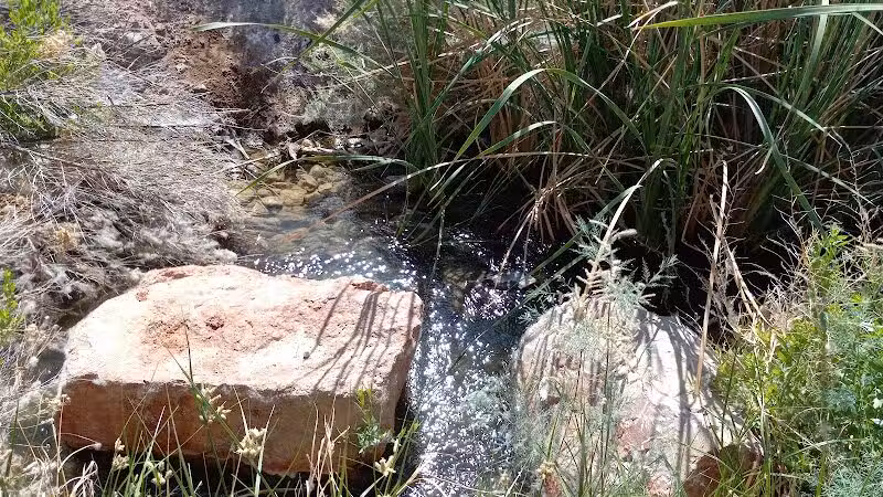 Clark County Wetlands Park - Neighborhood Park - Las Vegas, NV