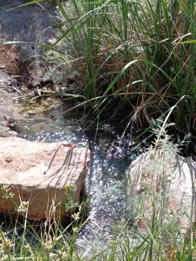Clark County Wetlands Park - Neighborhood Park - Las Vegas, NV