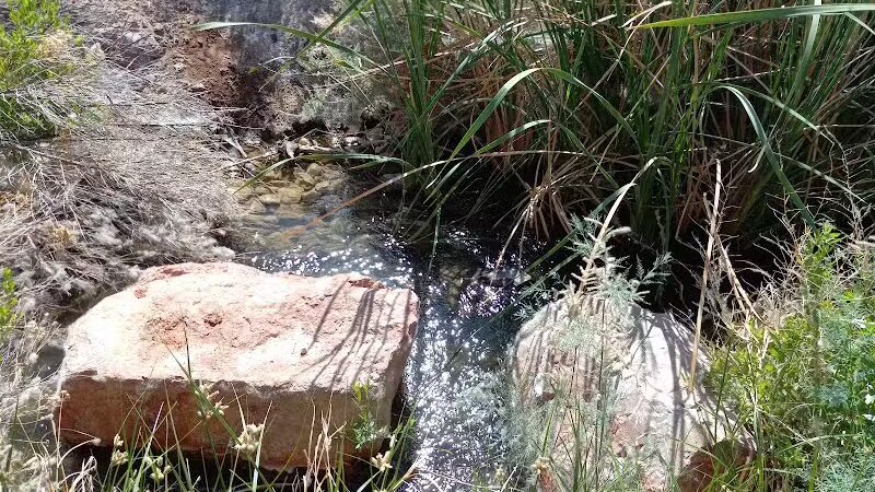 Clark County Wetlands Park - Neighborhood Park - Las Vegas, NV