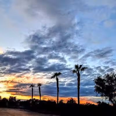 Clark County Wetlands Park - Neighborhood Park - Las Vegas, NV