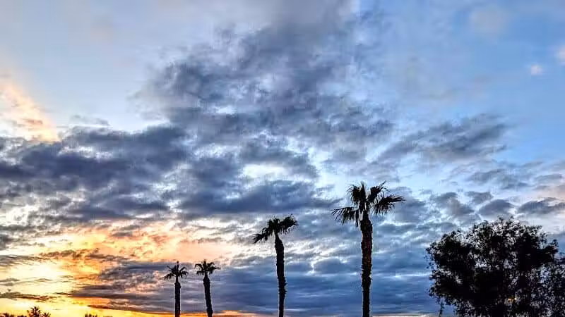 Clark County Wetlands Park - Neighborhood Park - Las Vegas, NV
