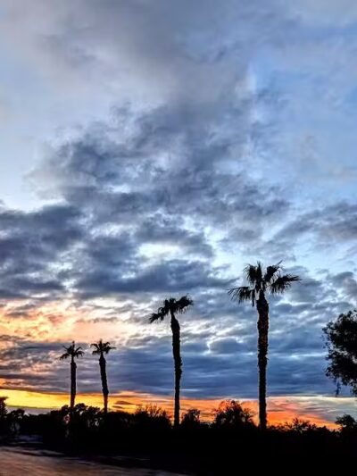 Clark County Wetlands Park - Neighborhood Park - Las Vegas, NV