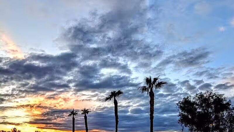 Clark County Wetlands Park - Neighborhood Park - Las Vegas, NV