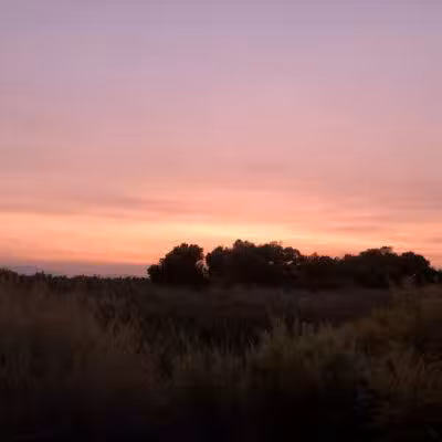 Clark County Wetlands Park - Neighborhood Park - Las Vegas, NV