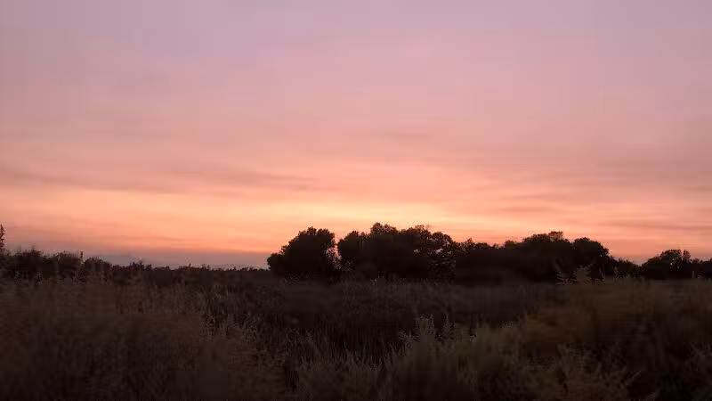 Clark County Wetlands Park - Neighborhood Park - Las Vegas, NV