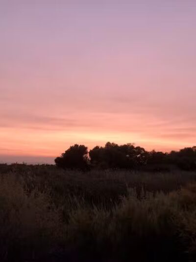 Clark County Wetlands Park - Neighborhood Park - Las Vegas, NV