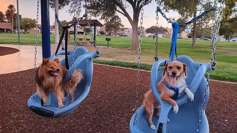 Coleman Park - Las Vegas, NV