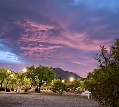 Community Park - Las Vegas, NV