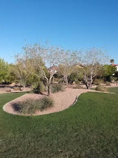 Community Park - Las Vegas, NV