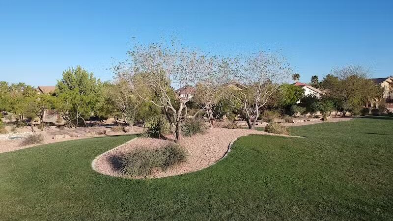 Community Park - Las Vegas, NV