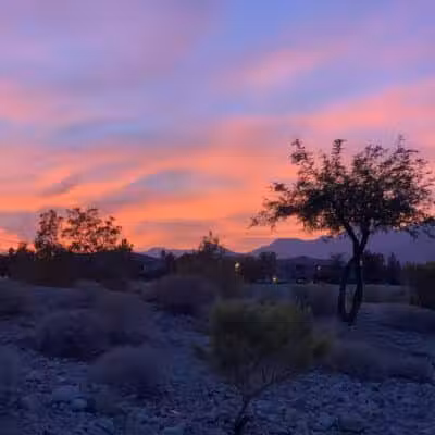 Cottonwood Canyon - Las Vegas, NV