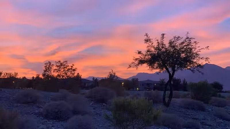 Cottonwood Canyon - Las Vegas, NV