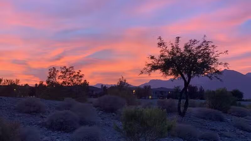 Cottonwood Canyon - Las Vegas, NV