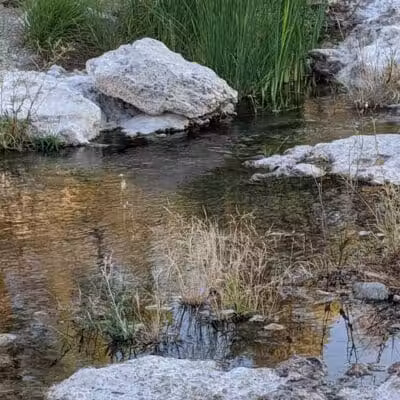 Cottonwood Canyon - Las Vegas, NV