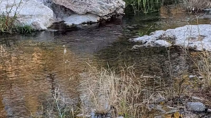 Cottonwood Canyon - Las Vegas, NV