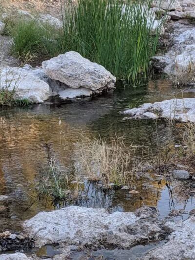 Cottonwood Canyon - Las Vegas, NV