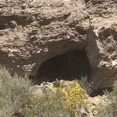 Cottonwood Canyon - Las Vegas, NV