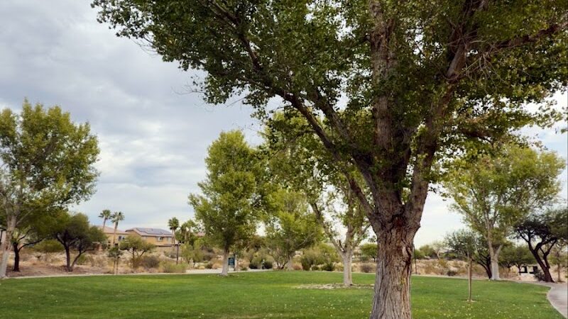 Cottonwood Canyon Trail Park - Las Vegas, NV