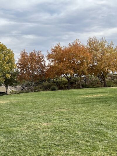 Cottonwood Canyon Trail Park - Las Vegas, NV