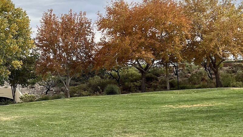 Cottonwood Canyon Trail Park - Las Vegas, NV